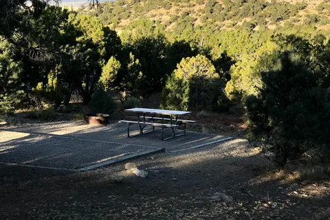 Elk Flat - Cave Lake State Park