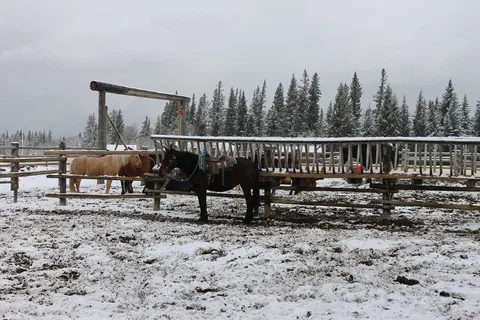 Cowleys Rafter Six Ranch