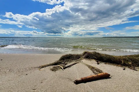 Buffalo Lake Recreational Area