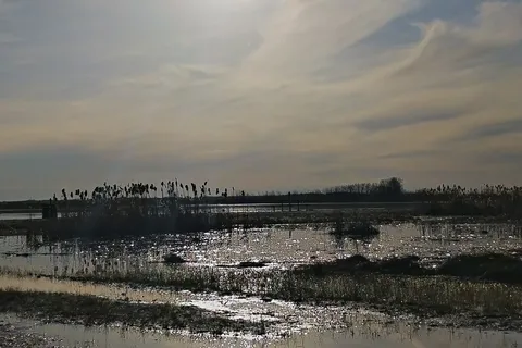 Buffalo Lake Recreational Area