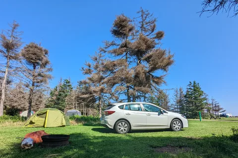 Cedar Dunes Provincial Park