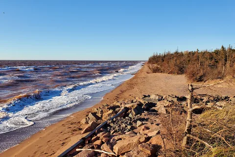 Cedar Dunes Provincial Park