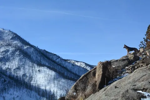 CanyonSide Campground
