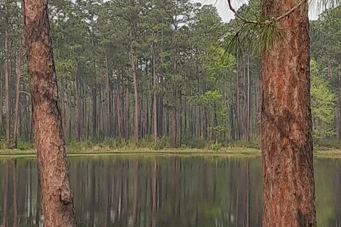 Airey lake recreation area