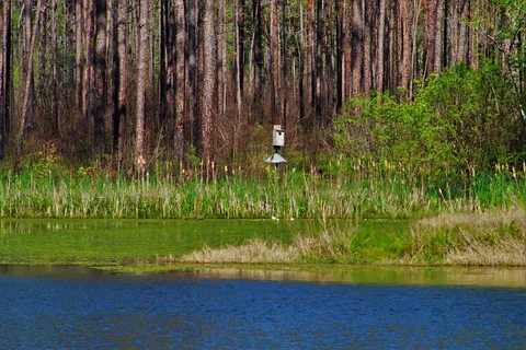 Airey lake recreation area