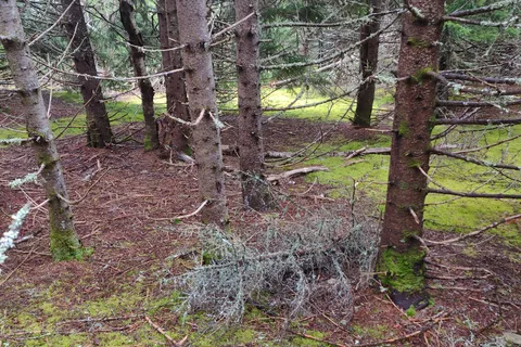 Chignecto Campground - Fundy National Park