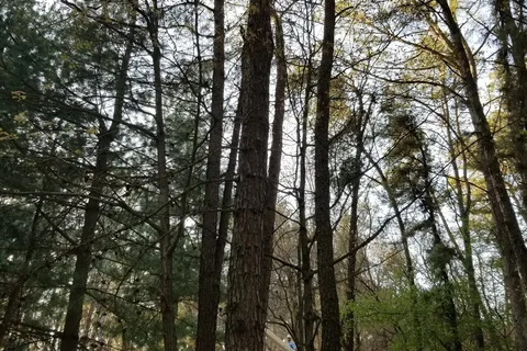 Pine View Campground