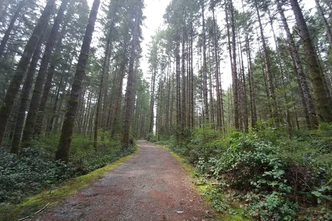Loveland Bay Provincial Park
