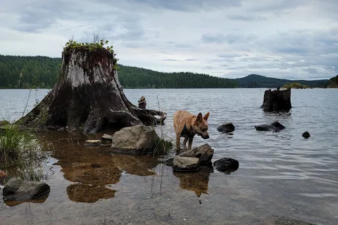 Loveland Bay Provincial Park