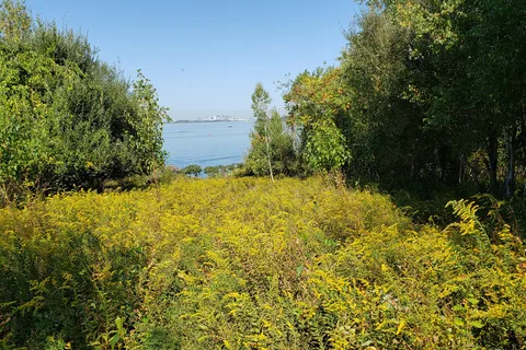 Boston Harbor Islands - Grape Island