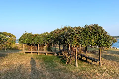 Boston Harbor Islands - Grape Island