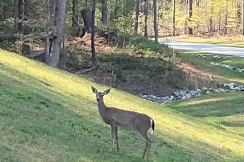 Don Carter State Park