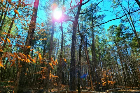 Don Carter State Park