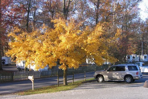 Red Run Campground