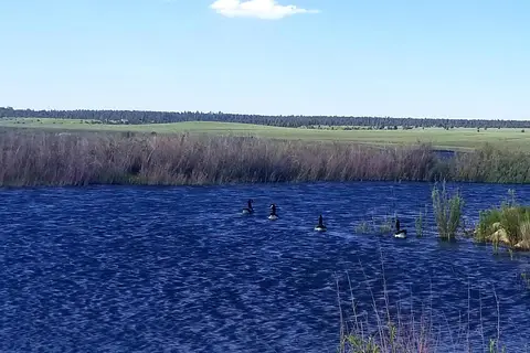 Dan Noble State Wildlife Area - Southwest