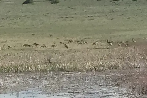 Dan Noble State Wildlife Area - Southwest