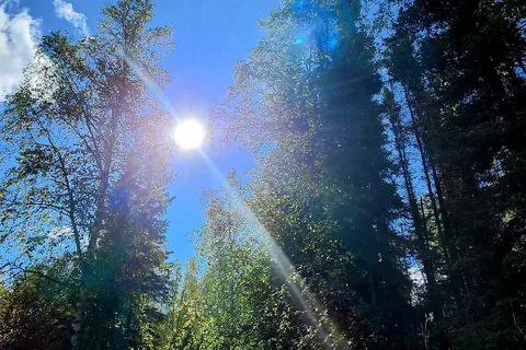 Eagle River Campground - Chugach State Park