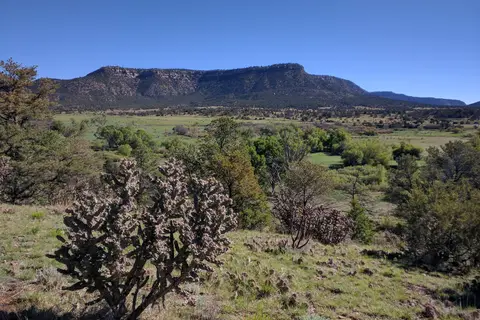 Ponil Campground
