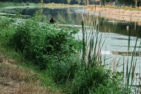 Geneseo Campground