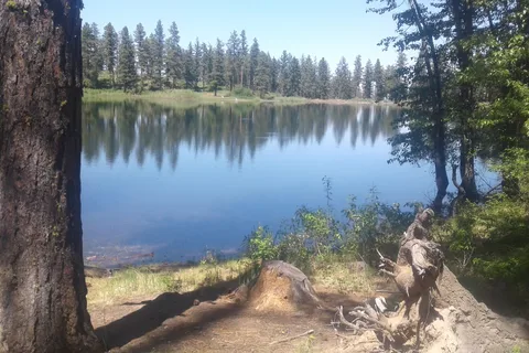 Lily Lake Sno-Park - Department of Natural Resources