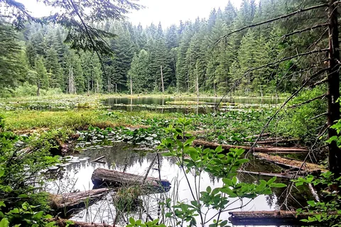 Lily Lake Sno-Park - Department of Natural Resources