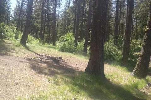 Lily Lake Sno-Park - Department of Natural Resources