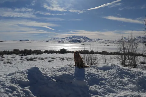 Wild Horse Reservoir State Recreation Area