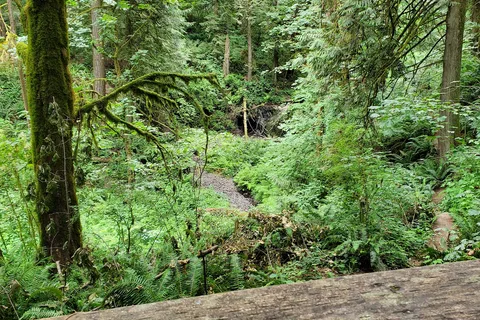 Paradise Point State Park