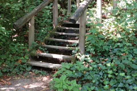 Paradise Point State Park