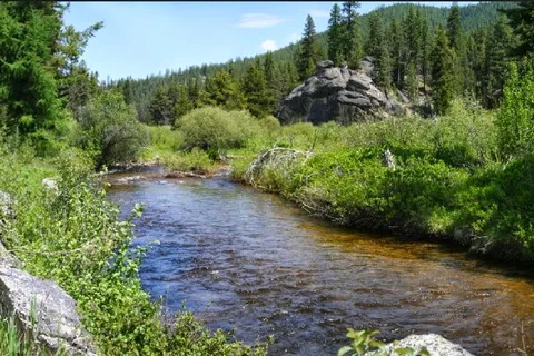 Trout Creek Motel and RV Park