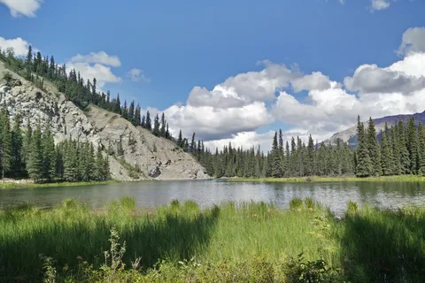 Horseshoe Lake State Park