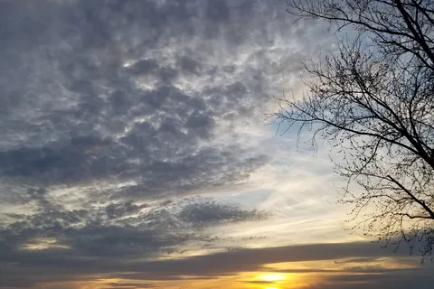 Horseshoe Lake State Park