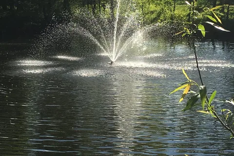 Woods Edge Campground