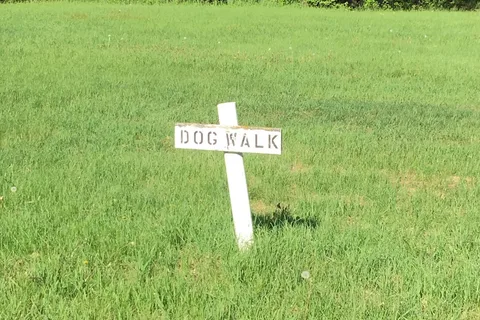 Woods Edge Campground