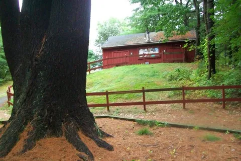Rusnik Campground