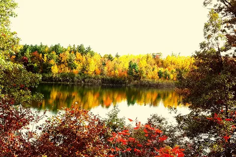 Scenic View Campground