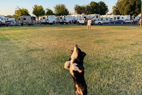 Sunnyside RV Park