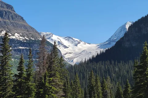 Heart of Glacier RV Park and Cabins