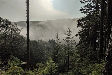 Point Wolfe Campground - Fundy National Park