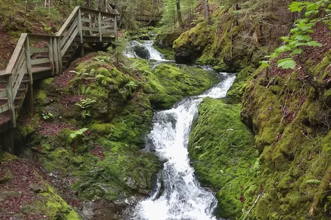Point Wolfe Campground - Fundy National Park