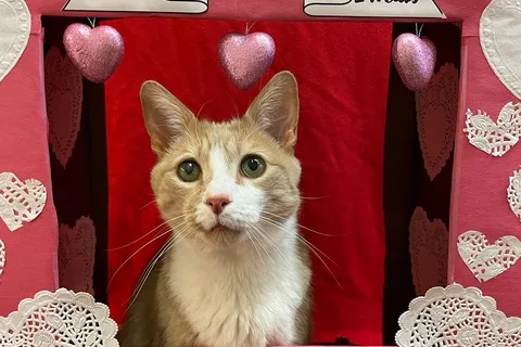 Best Friends Animal Sanctuary