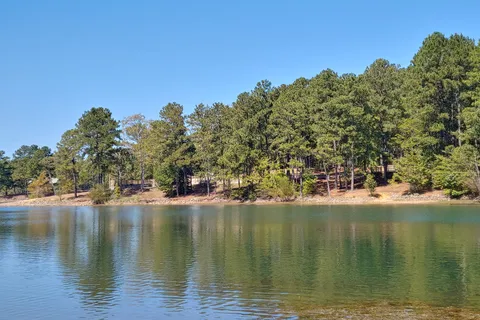 Dames Ferry Park