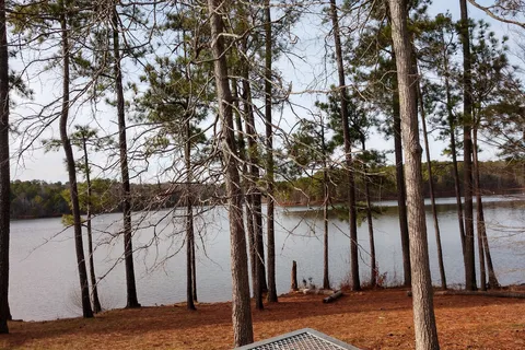 Dames Ferry Park