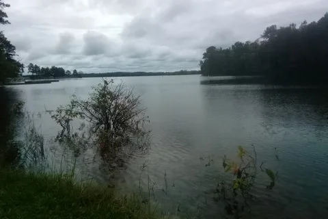 Dames Ferry Park