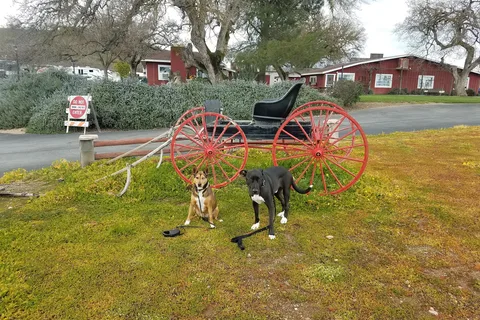 Paso Robles RV Ranch and Campground