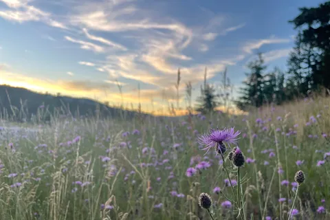 Kentucky Alleyne Provincial Park