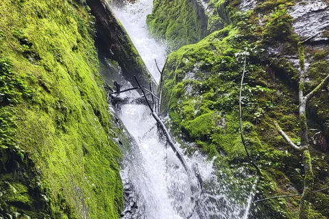 Cascadia State Park