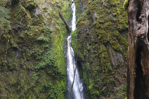 Cascadia State Park