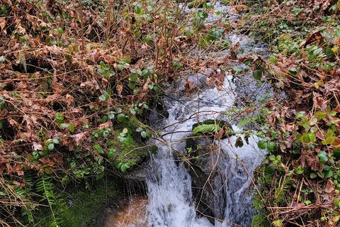 Cascadia State Park