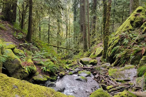 Cascadia State Park